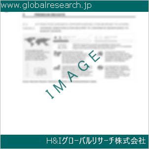 グローバルリサーチ調査資料のイメージ